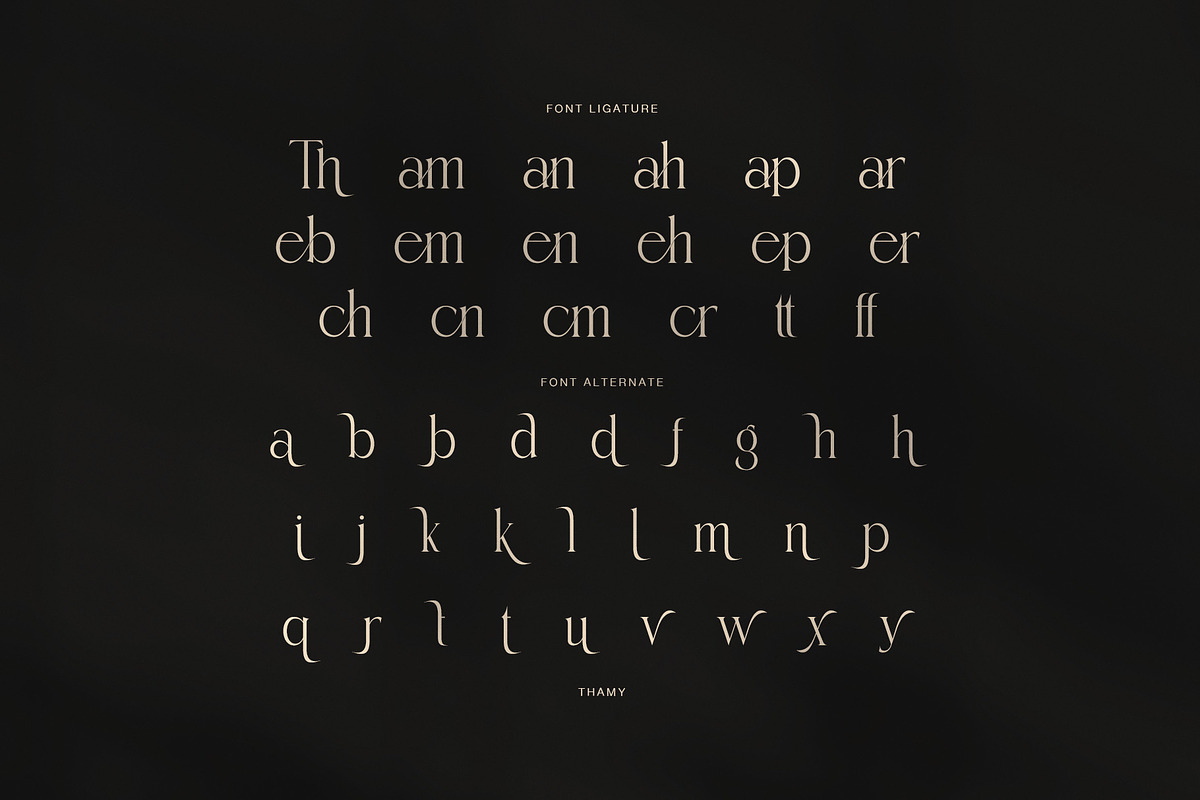 Thamy Elegant Serif Font, a Serif Font by Perfectype (Photo 8 of 8)