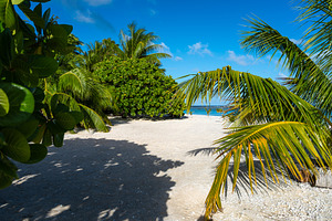 Tropical paradise beach on Tikehau Atoll, French Polynesia, with, a Nature Photo by GoodGoods