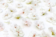 Styled photos bundle, a Background Photo by Bubert Art (Thumbnail 8 of 12)