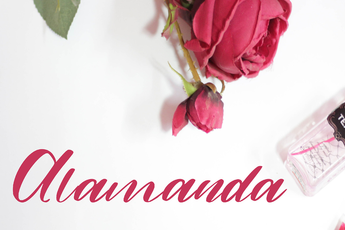 alamanda font, a Script Font by Mariyana (Photo 2 of 6)