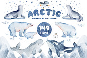 Polar Animals Watercolor Collection, an Animal Illustration by LenArt (Thumbnail 1 of 16)