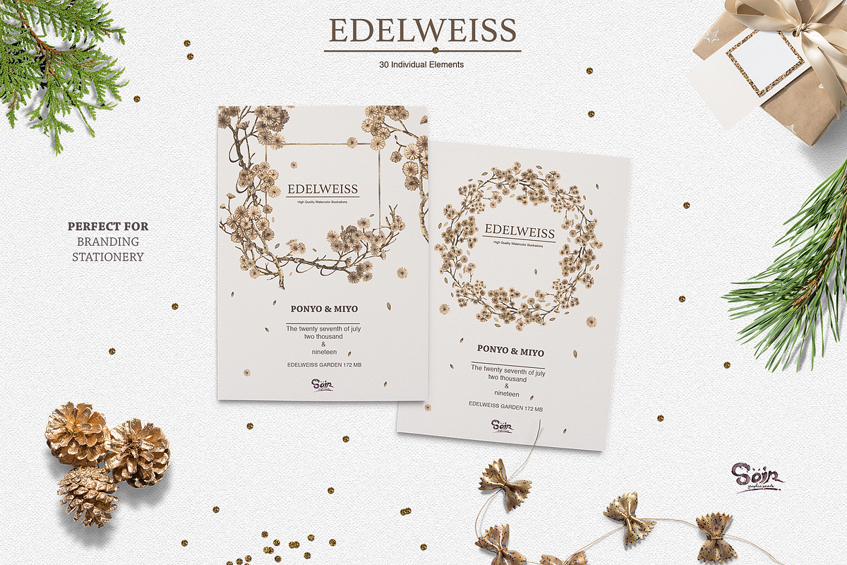 Edelweiss Watercolor Collections, an Illustration by Soir Creative (Photo 5 of 5)
