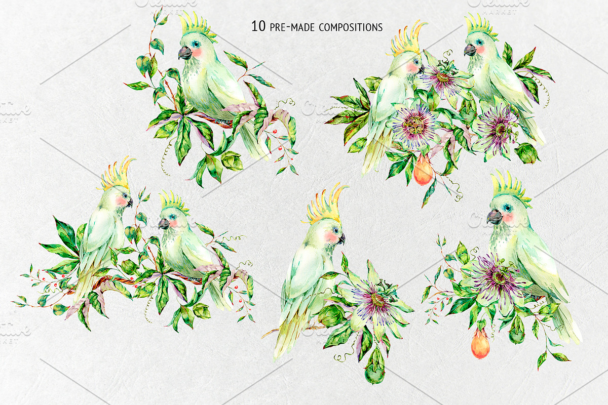 Watercolor white summer, an Illustration by Belusuab (Photo 3 of 8)