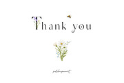 Watercolor Summer Wildflowers, an Illustration by polikarpovaart (Thumbnail 16 of 16)