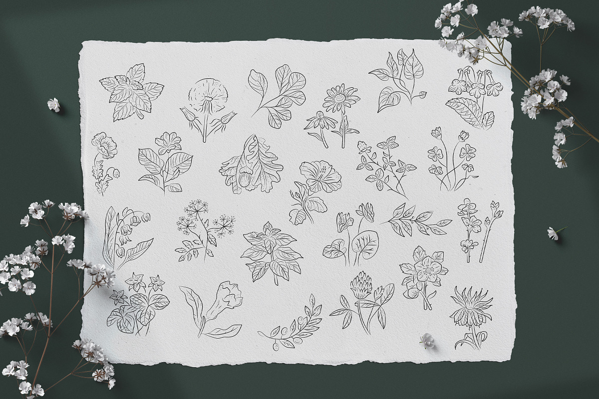 Floral Illustration Set, a Decorative Illustration by iStar Design (Photo 10 of 13)