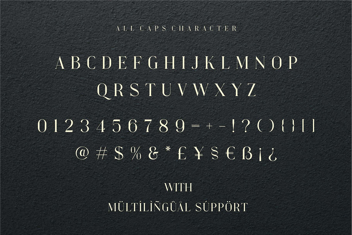 Golde Modern Serif Font, a Serif Font by Dylla_studio (Photo 10 of 10)