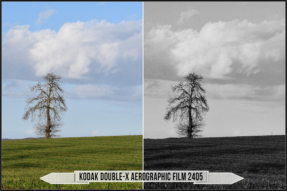 Eastman Kodak Black and White Films, a Plug-in Add-On by Raztrend (Photo 24 of 30)