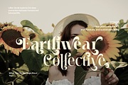 Meagre Display - 90s  Serif Family, a Serif Font by Holyline Design (Thumbnail 4 of 15)