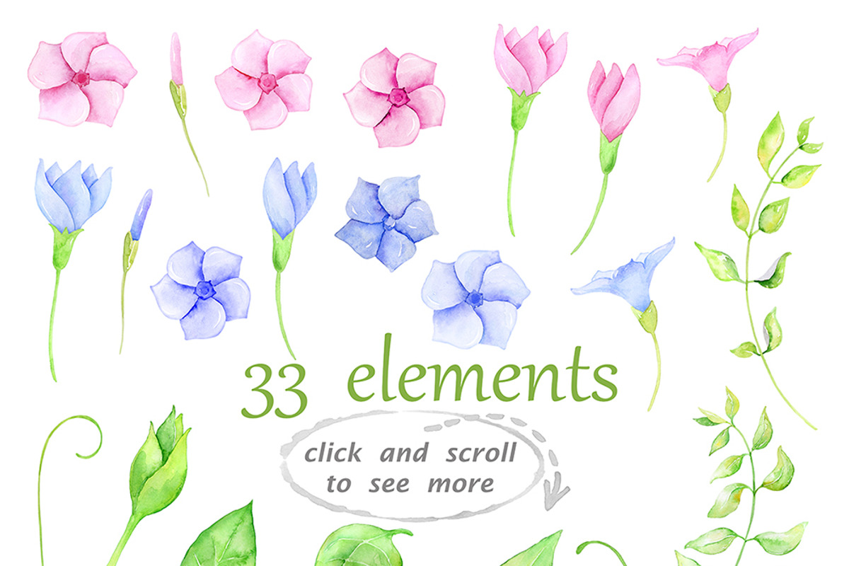 Watercolor clipart Periwinkle, an Illustration by AqwaColor (Photo 2 of 2)