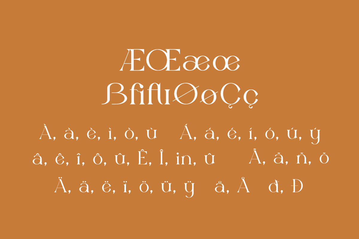 Molgife - Fashion Brand Font, a Serif Font by Iqsiart Studio (Photo 10 of 15)