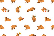 Cute capibaras set, stickers, cards, an Animal Illustration by PaperTrident (Thumbnail 5 of 7)