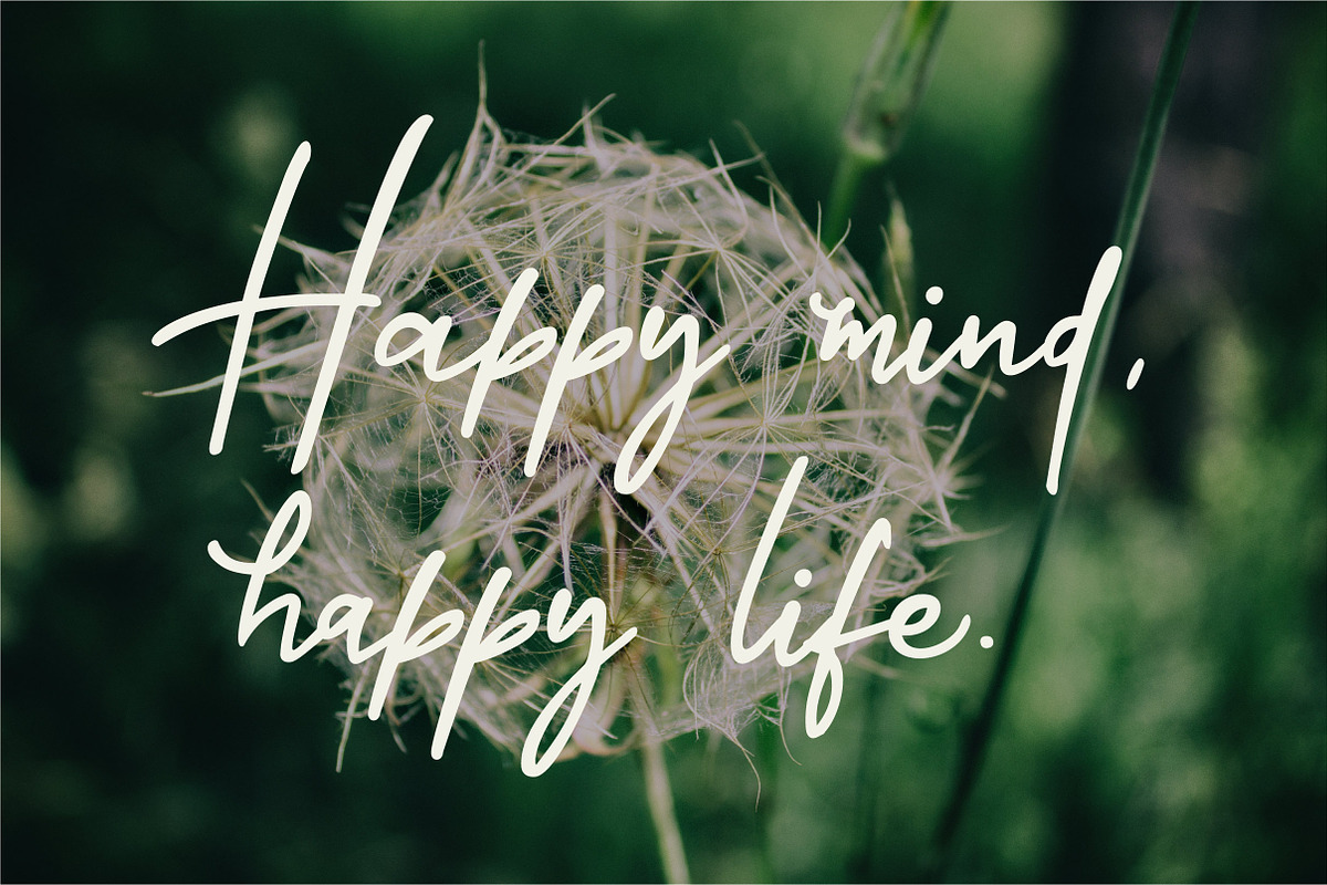 Crystal Castle Font + Logos, a Script Font by theinkaffair (Photo 9 of 11)