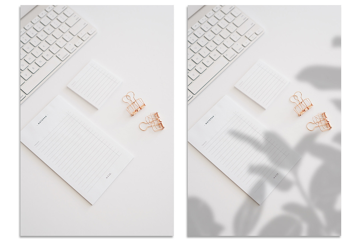 40 Plant Shadows Overlays preview 3
