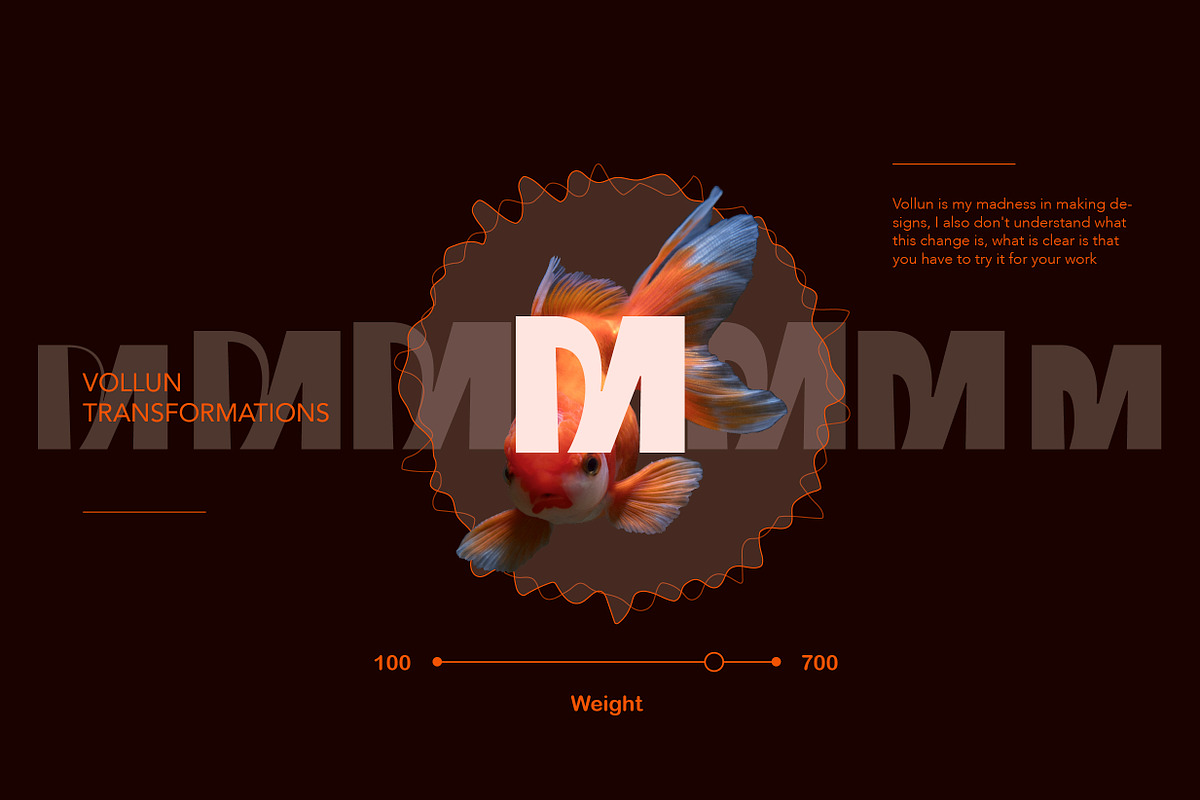 ZT Vollun - Display font, a Sans Serif Font by zelow type (Photo 15 of 15)
