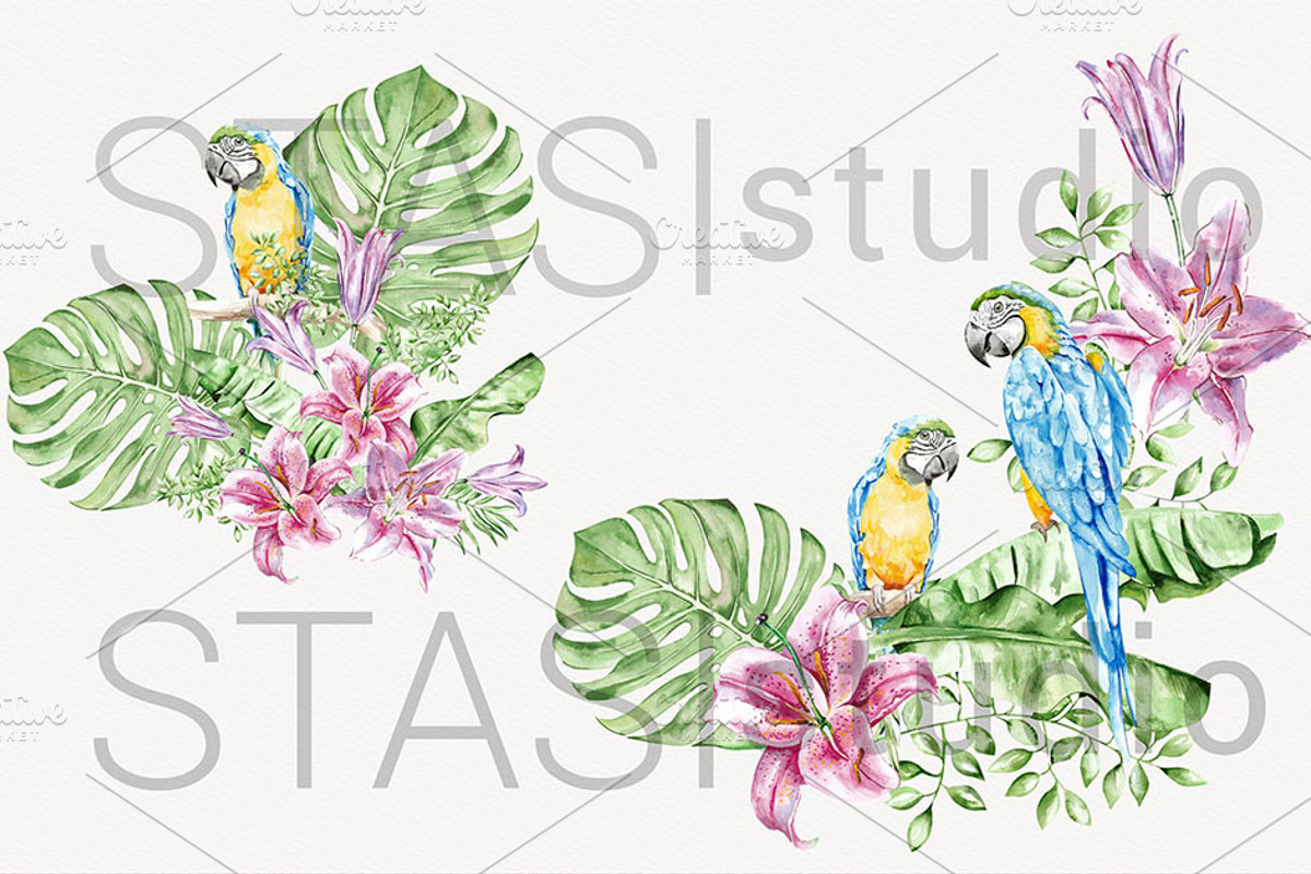 Tropical Parrots Watercolor Clipart, a Decorative Illustration by STASIstudio (Photo 4 of 4)