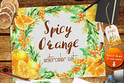 Watercolor Spicy Orange Set, a Decorative Illustration by WBS Design (Thumbnail 1 of 5)