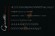 Giamatti, a Handwritten Font by Febri Creative (Thumbnail 5 of 6)