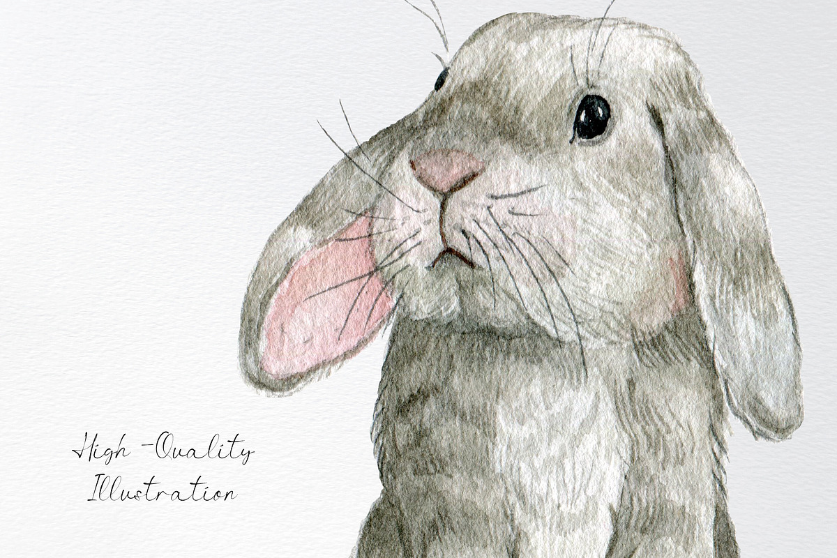 Watercolor white bunny clipart, an Animal Illustration by yana.fefelova (Photo 4 of 4)