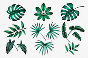 JUNGLE leaves Clip Art., an Illustration by ARTVracovska (Thumbnail 3 of 5)