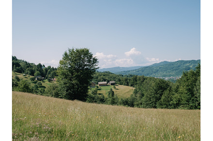Enchanting Summer Landscape of, a Nature Photo by zheckasmk