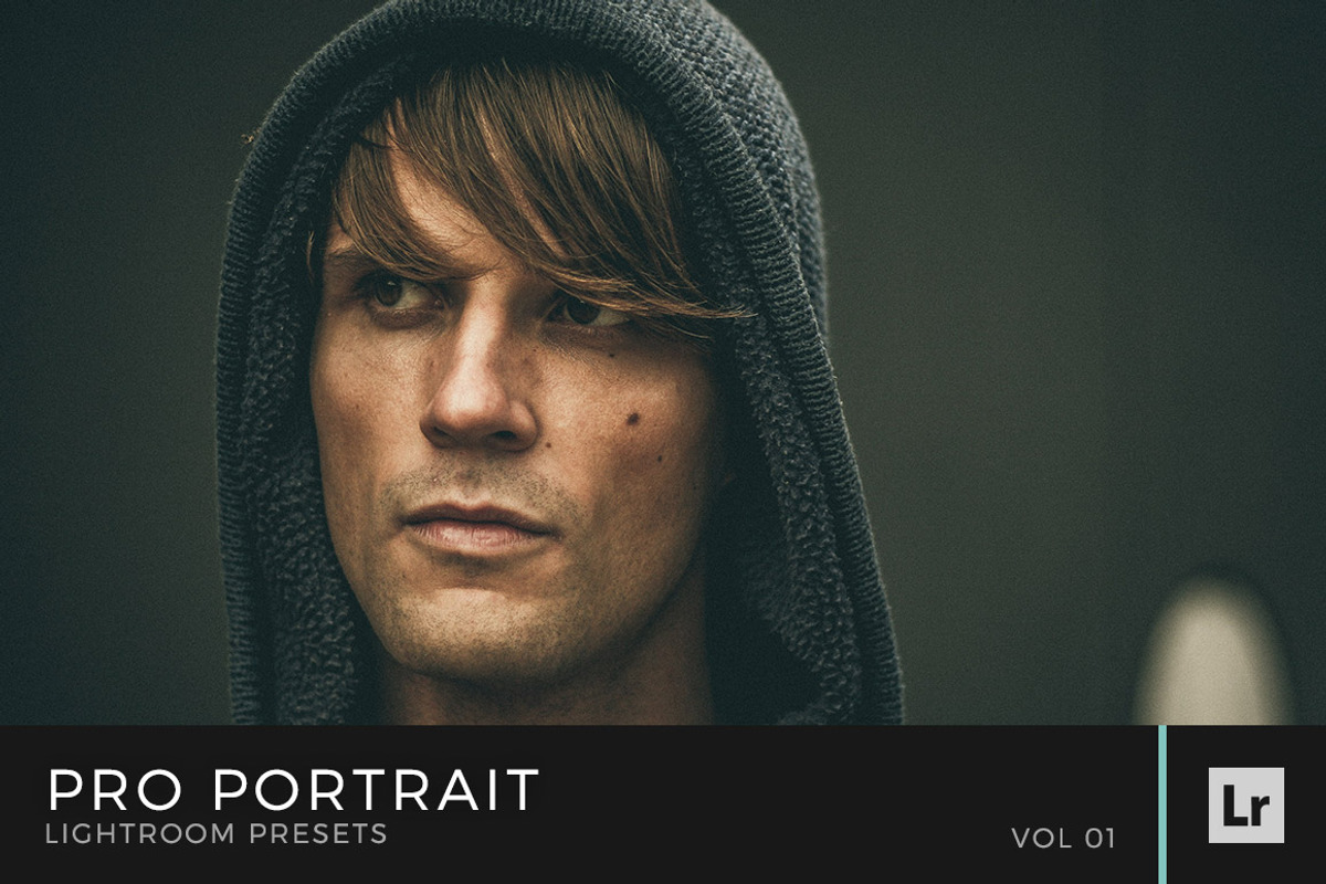Pro Portrait Lightroom Preset Bundle preview 2