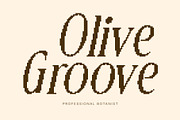 CS Bruna Pixel, a Serif Font by Craft Supply Co. (Thumbnail 3 of 8)