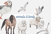 Icelandic Summer - 74 details, an Animal Illustration by Elisa Ursa (Thumbnail 7 of 10)