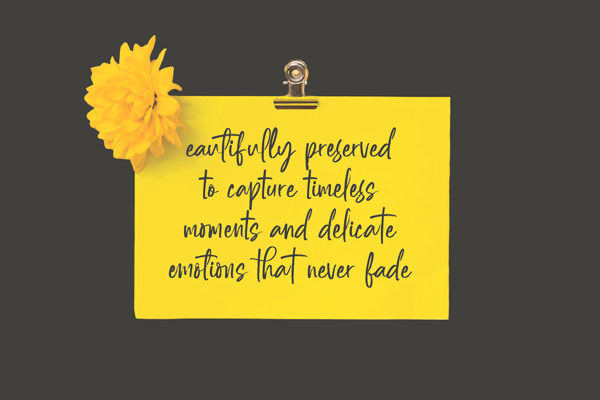 Daltonse Best Stylish Font, a Script Font by Letterena Studios Script (Photo 5 of 15)