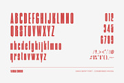 Valinguan Condensed Sans Serif, a Sans Serif Font by TypeLogue (Thumbnail 5 of 5)