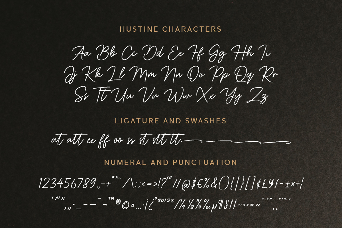 Hustine Signature Script Font, a Script Font by Typebae (Photo 7 of 8)