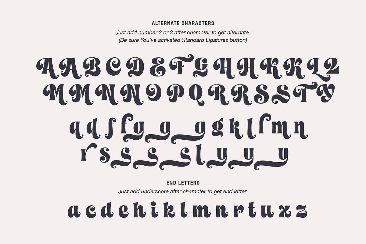 Faery Dream Display, a Serif Font by Andrey Sharonov (Photo 13 of 20)