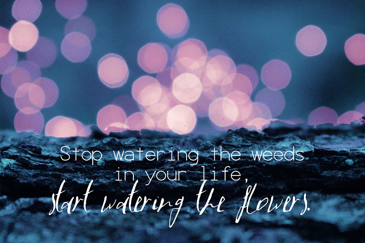 LaPayne Font, a Script Font by SophieSaxo (Photo 6 of 8)