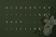 Clayton – Elegant Serif Typeface, a Serif Font by Webhance Studio (Thumbnail 9 of 10)