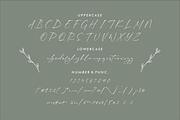 Rhastela Greams Modern Signature, a Script Font by Storytype Studio (Thumbnail 13 of 15)