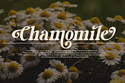 Milky Shake - Retro Serif Font, a Serif Font by Say Studio (Thumbnail 10 of 14)