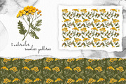 Thistle tansy bumblebees watercolor, an Illustration by Alamella (Thumbnail 3 of 5)