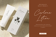 Argine Signature Font, a Handwritten Font by RantautypeStudio (Thumbnail 3 of 15)
