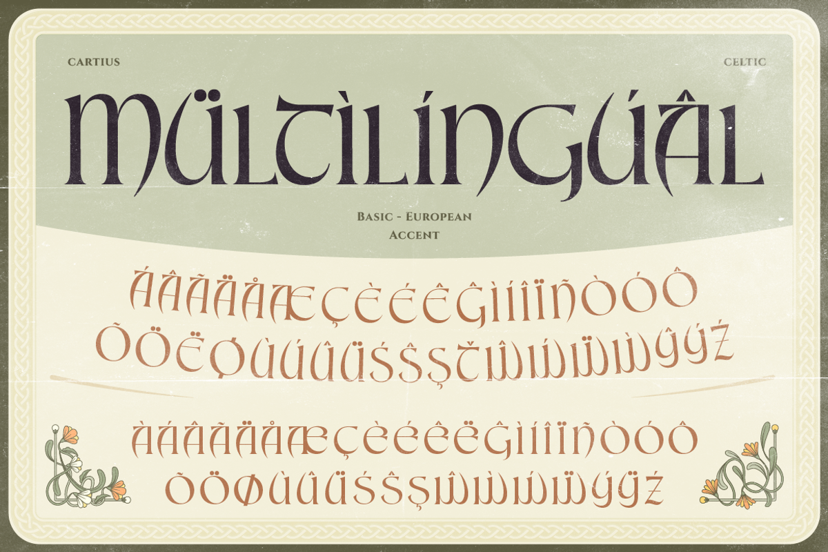 Cartius, a Serif Font by Burntilldead (Photo 11 of 12)