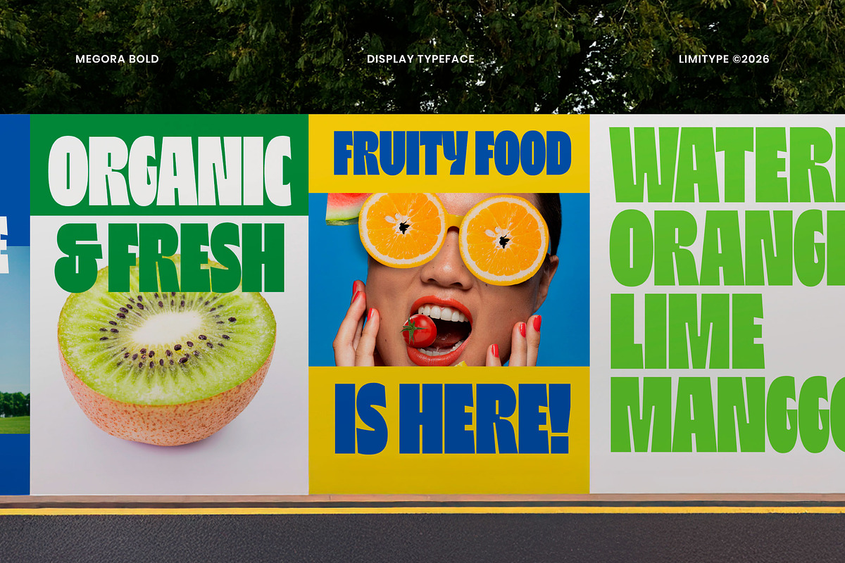 Megora - Bold Inktrap Font, a Sans Serif Font by limitype (Photo 10 of 12)