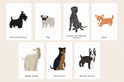 Friends: 23 different dog breeds, an Animal Illustration by Mii Lab (Thumbnail 12 of 13)