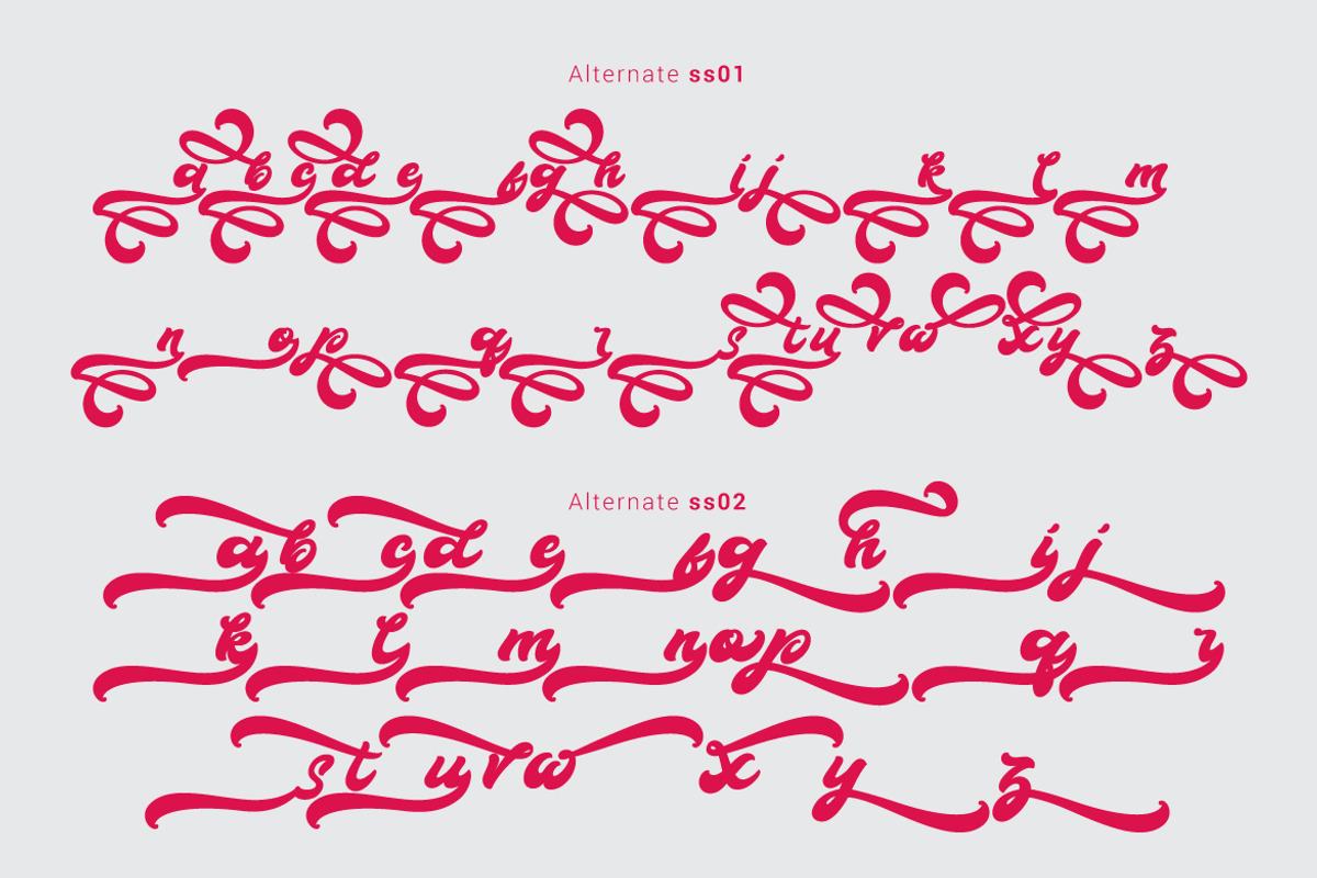 Boldie Script Typeface, a Script Font by Thirtypath Studio (Photo 9 of 11)