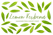 Lemon Verbena Handwritten Font, a Script Font by Susan Brand Design (Thumbnail 1 of 5)