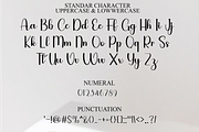 Grandma Birthday, a Handwritten Font by FreshTypeINK (Thumbnail 2 of 8)