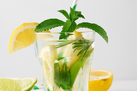 Lemonade in a transparent glass with lemon, lime, rosemary sprig, a Food & Drink Photo by ndanko