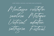 Sheyotu Etrella Stylish Handwritten, a Script Font by stylishtype.co (Thumbnail 15 of 20)