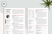 Professional Resume CV Template, a Resume Template by GResume (Thumbnail 3 of 7)