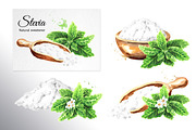 Stevia. Watercolor collection, a Healthcare Illustration by Daria Ustiugova (Thumbnail 2 of 6)