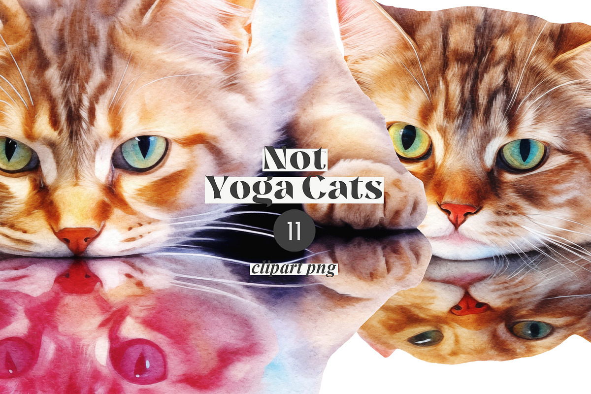 Not Yoga Cats, an Animal Illustration by TheCuteShop (Photo 11 of 17)