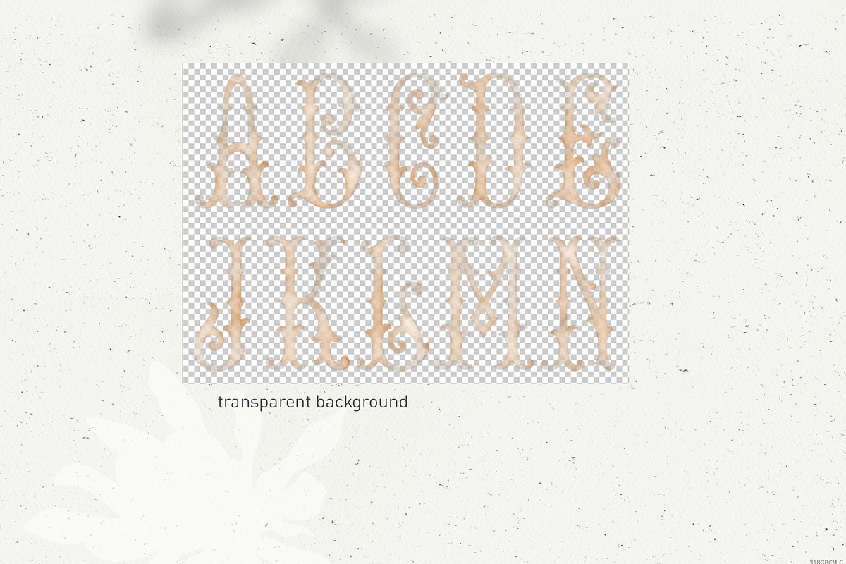 Monogram typeface for crest beige, a Decorative Illustration by GrafikBoutique (Photo 2 of 3)