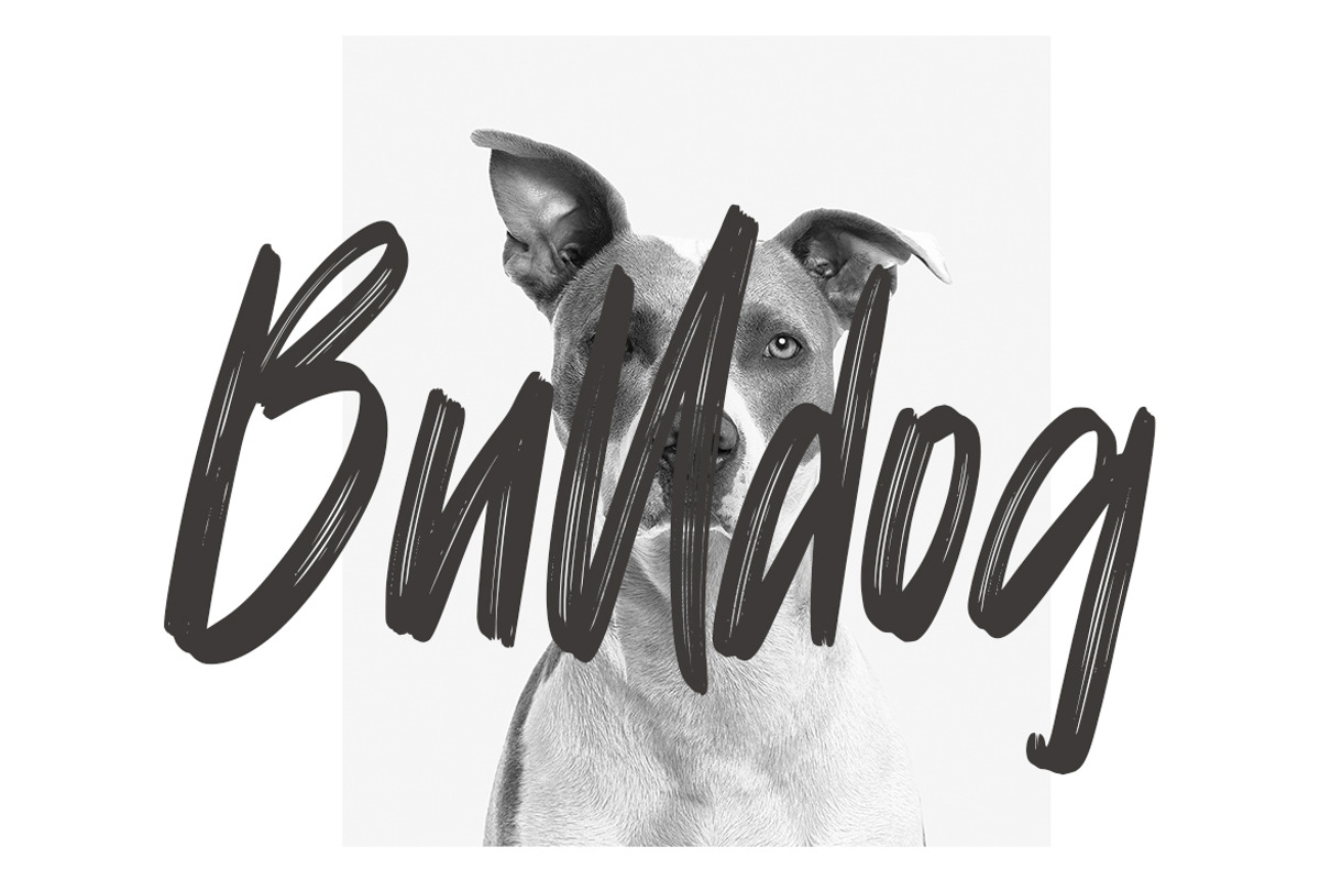 Mattolla - Handbrush Script Font, a Script Font by skiiller studio (Photo 2 of 8)